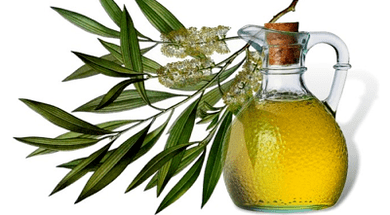 Folk remedies for treating fungi on the thumb of the leg
