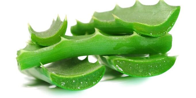 Aloe vera treatment for nail fungi