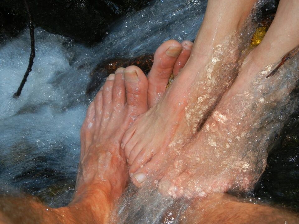 Mycelium of leg nails
